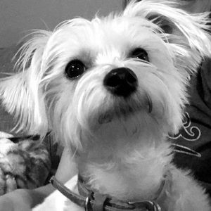 Meet your Posher, Blake